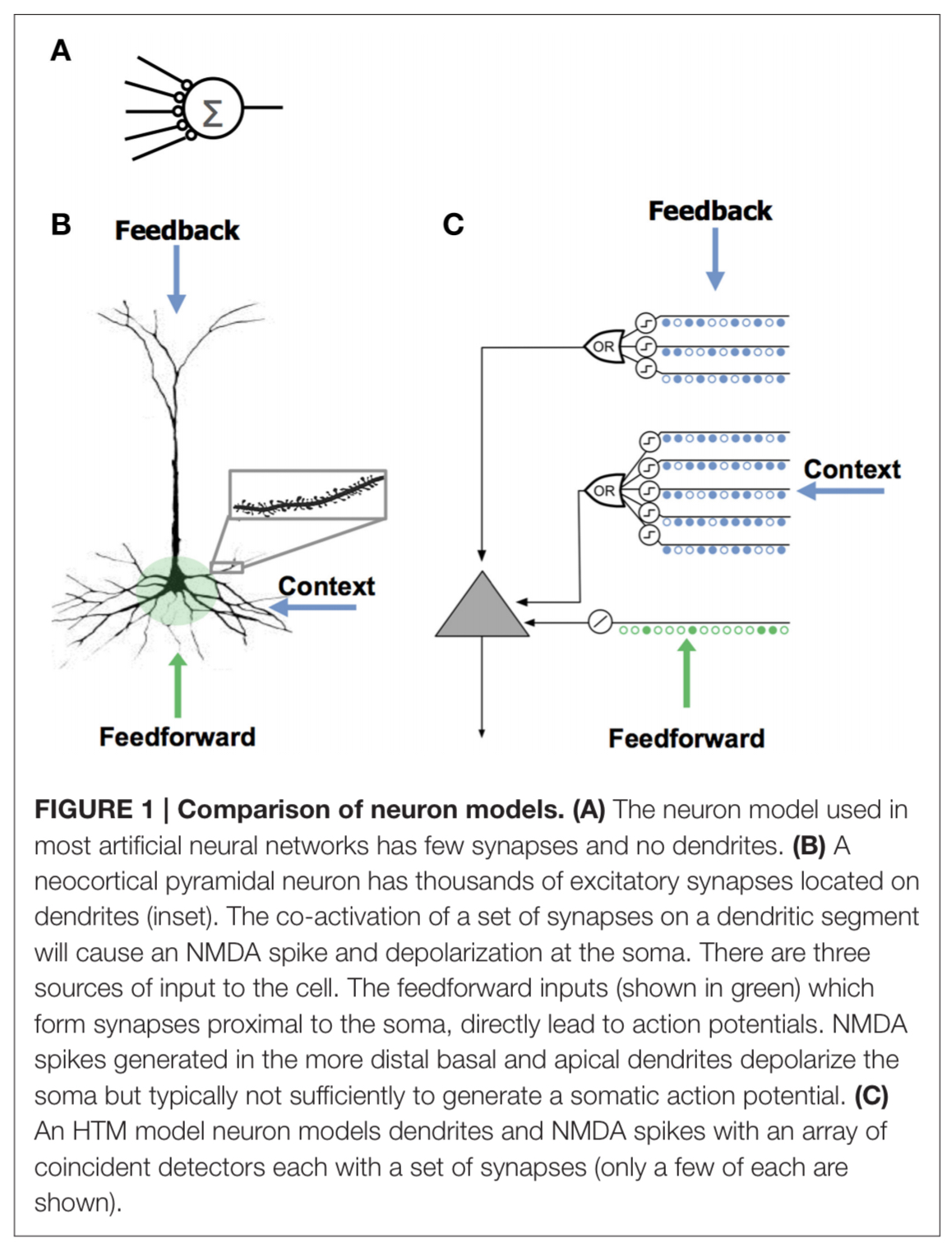 Single neuron dynamics models linking theory and experiment